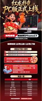 本站定位